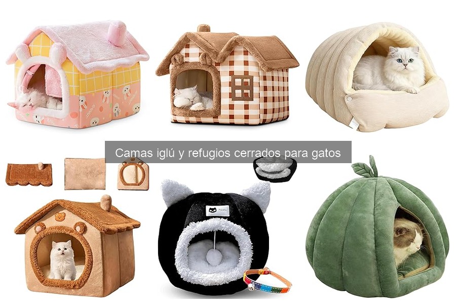 Mejores camas iglú para gatos en 2023: comparativa y opiniones