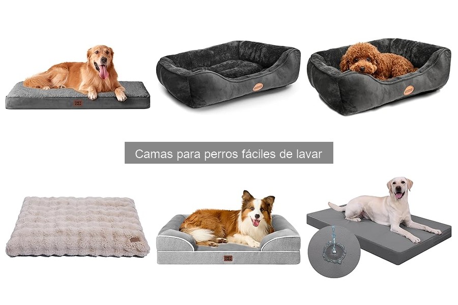 Mejores camas lavables para cachorros: guía práctica