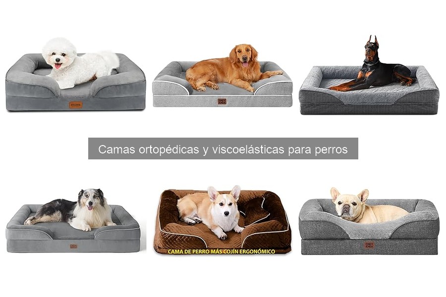 Mejores camas ortopédicas para perros en 2023: comparativa