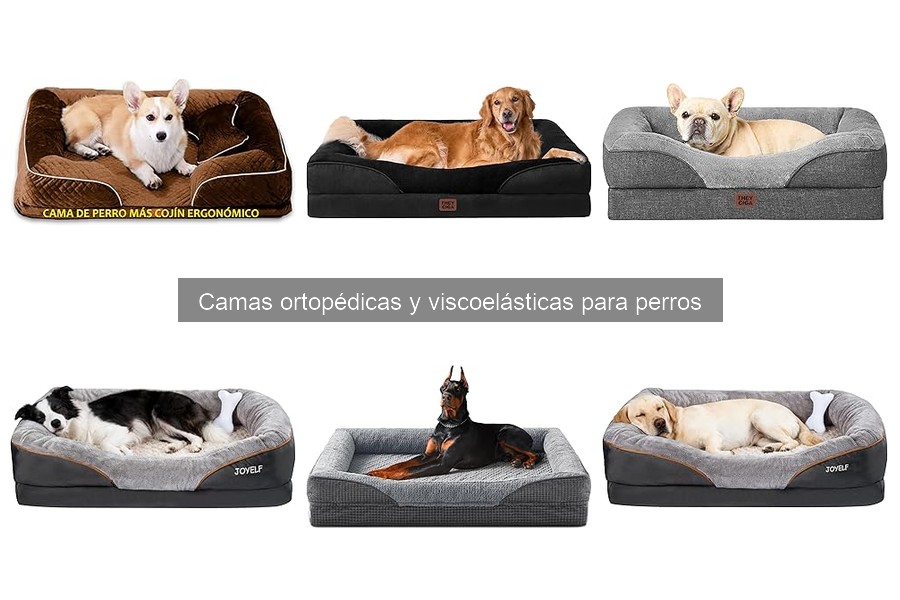 Mejores camas ortopédicas para perros mayores y con artritis