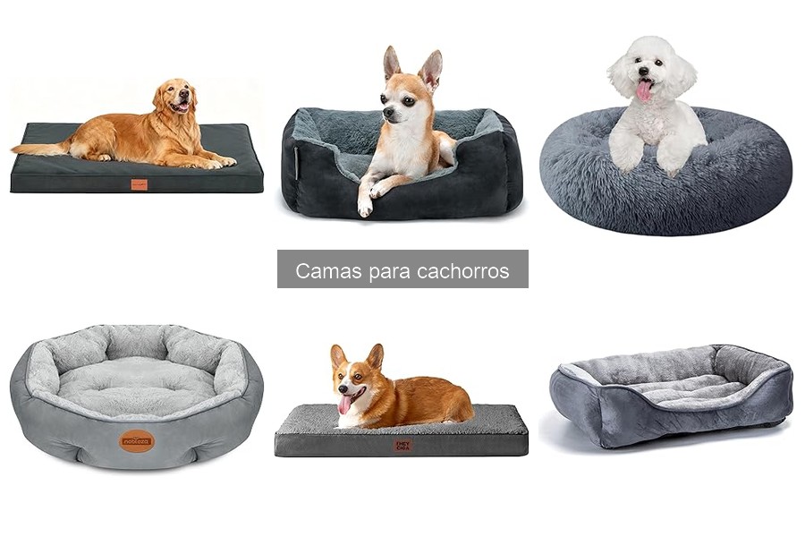 Mejores camas para cachorros con problemas de salud