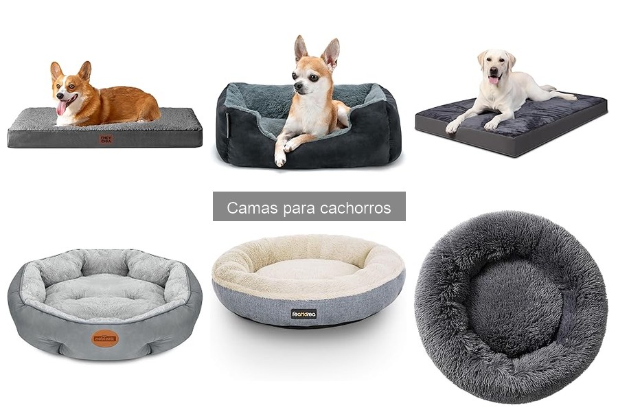 Mejores camas para cachorros en 2023: comparativa y análisis
