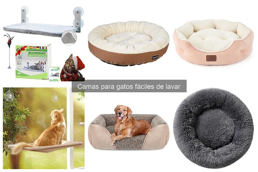 Mejores camas para gatos fáciles de lavar en 2023