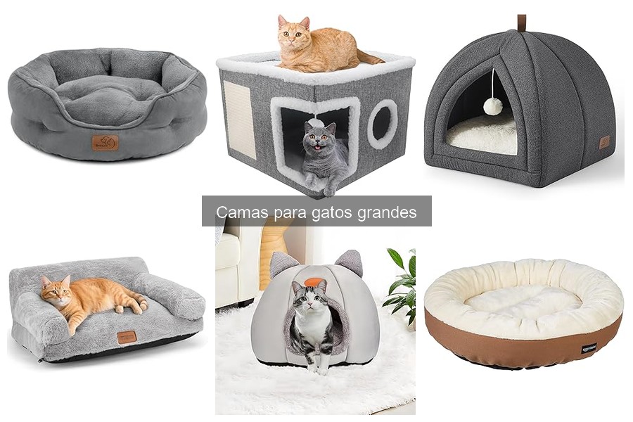 Mejores camas para gatos grandes en 2023: Comparativa y Reseñas