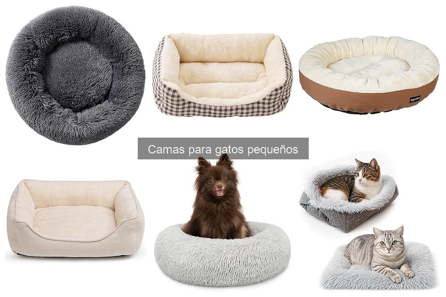 Mejores camas para gatos pequeños según opiniones de usuarios