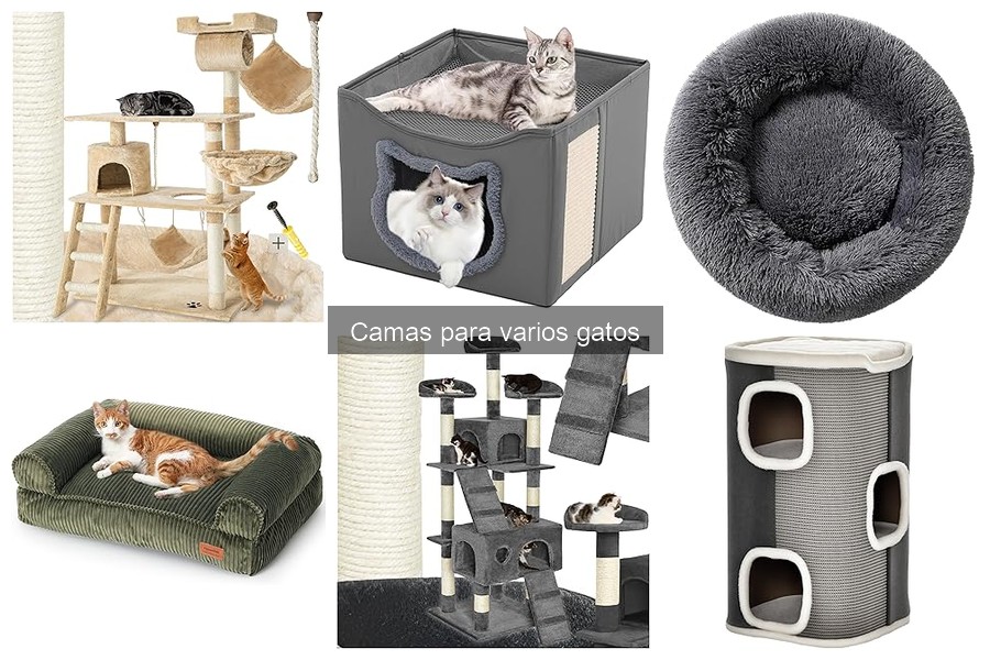 Mejores camas para gatos según tamaño y comportamiento