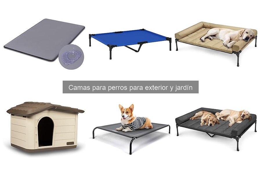 Mejores camas para perros de exterior: comodidad y calidad