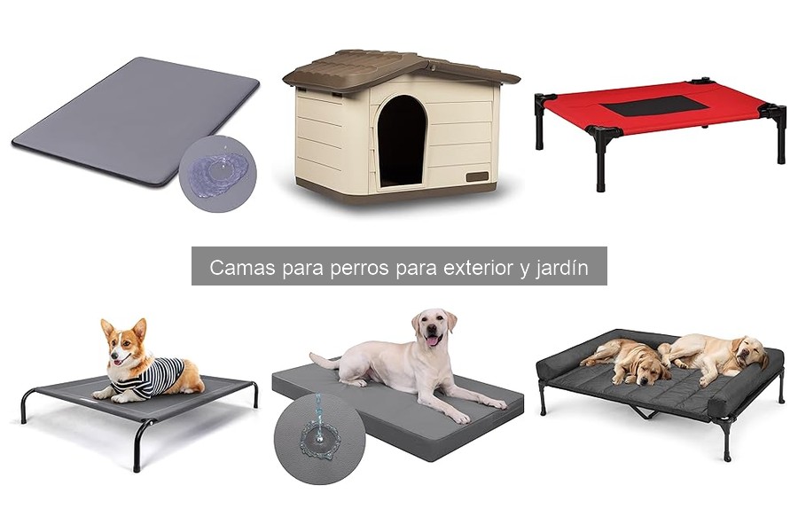Mejores camas para perros de exterior en climas fríos
