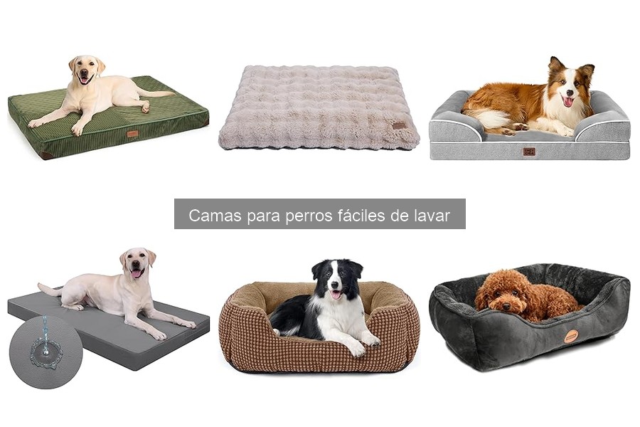 Mejores camas para perros fáciles de lavar según su tamaño