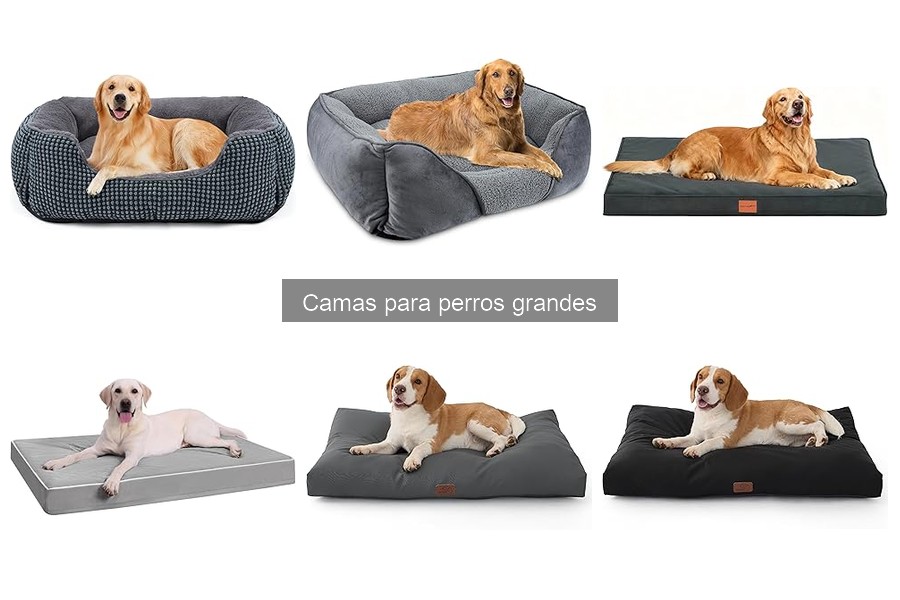 Mejores camas para perros grandes en climas cálidos