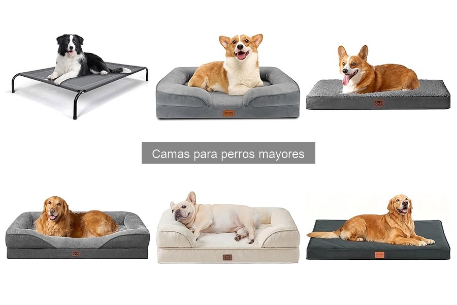 Mejores camas para perros mayores con artritis: guía de compra