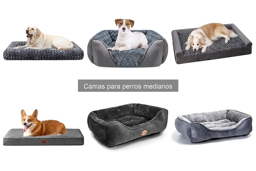 Mejores camas para perros medianos en invierno