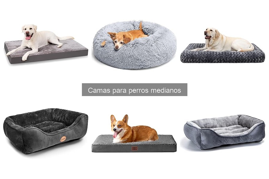 Mejores camas para perros medianos para uso exterior