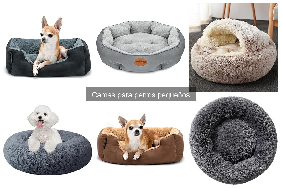 Mejores camas para perros pequeños: comodidad y soporte