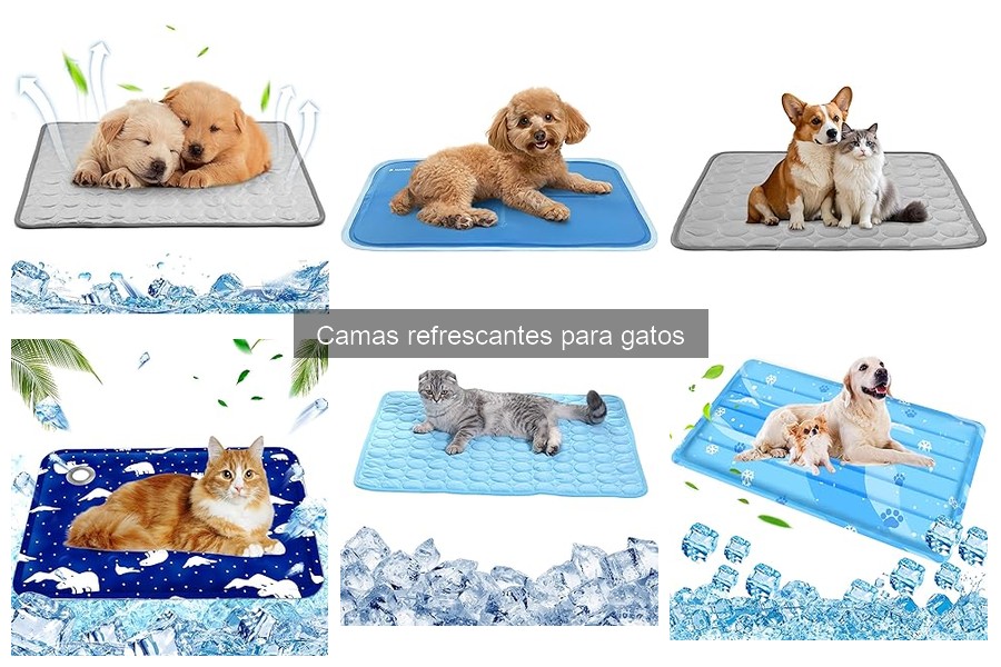 Mejores camas refrescantes para gatos en 2023