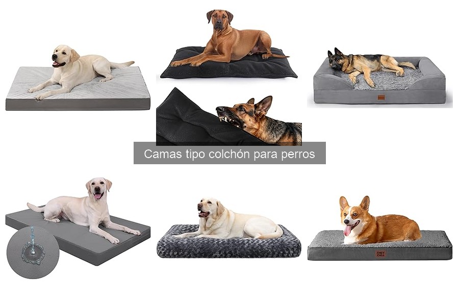 Mejores camas tipo colchón para perros grandes en 2023