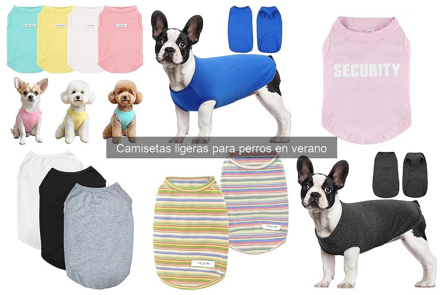Mejores camisetas ligeras para perros en verano según usuarios