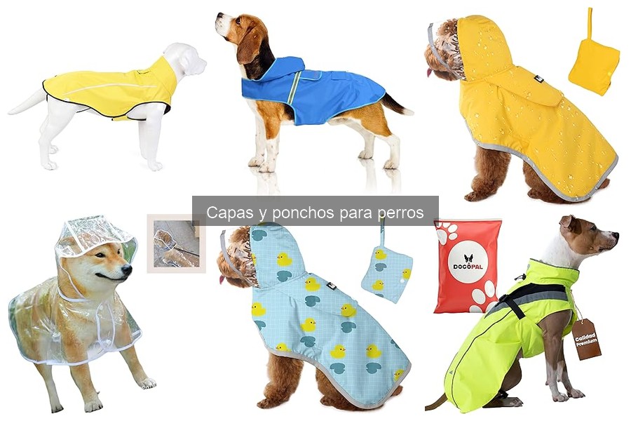 Mejores capas y ponchos para perros en invierno