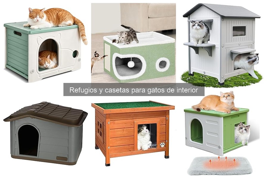 Mejores casetas para gatos de interior según opiniones de usuarios