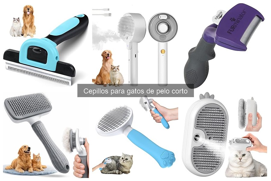 Mejores cepillos menos irritantes para gatos de pelo corto