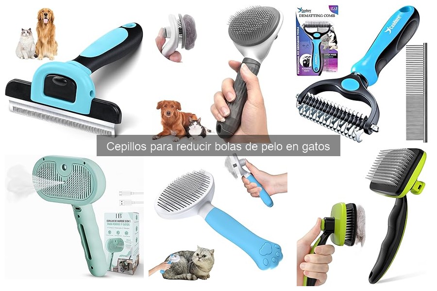 Mejores cepillos para gatos de pelo largo: comparativa 2023