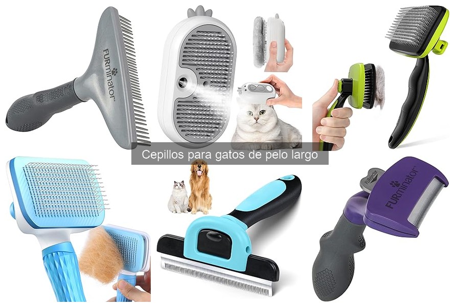 Mejores cepillos para gatos de pelo largo según su raza