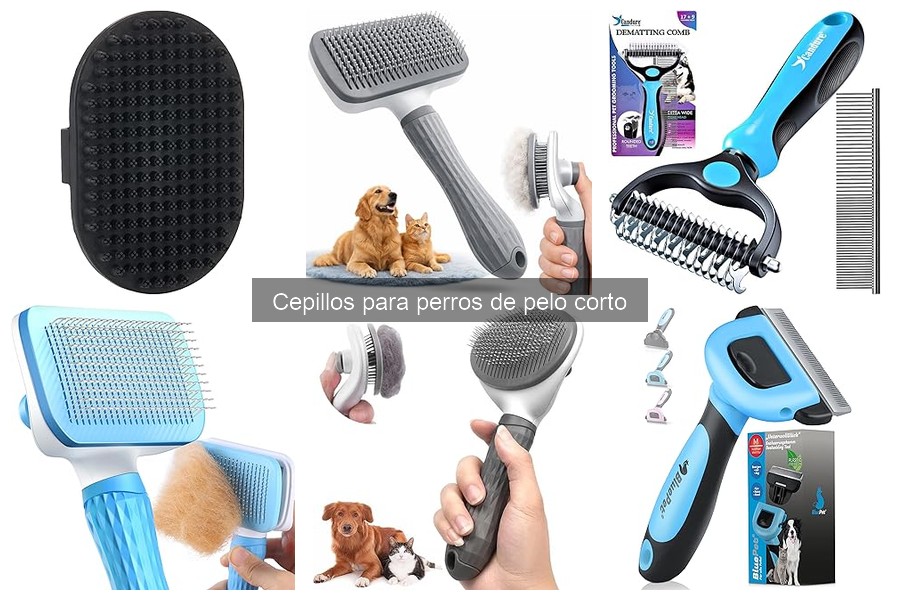 Mejores cepillos para perros de pelo corto: guía de compra