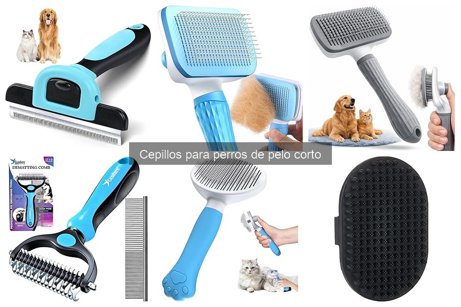 Mejores cepillos para perros de pelo corto: guía de elección