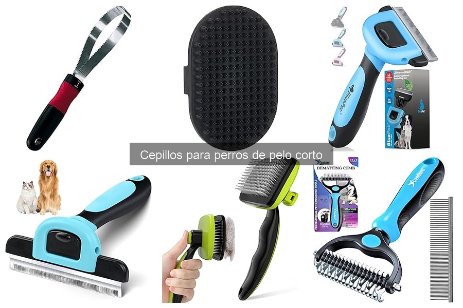 ** Mejores Cepillos para Perros de Pelo Corto: Reseñas y Opiniones
