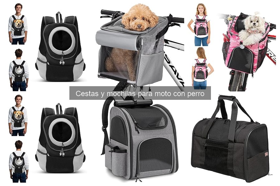 Mejores cestas y mochilas para moto con perro en 2023