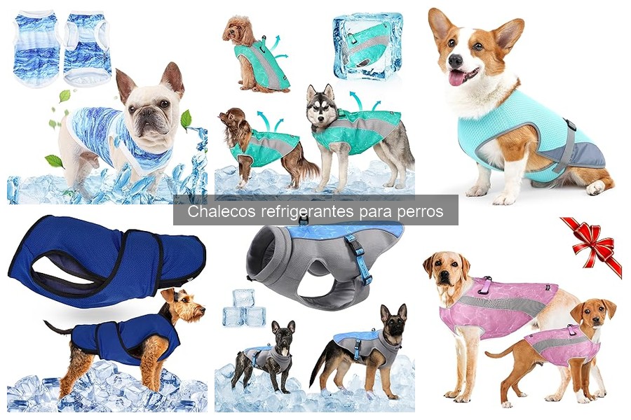Mejores chalecos refrigerantes para perros según el clima