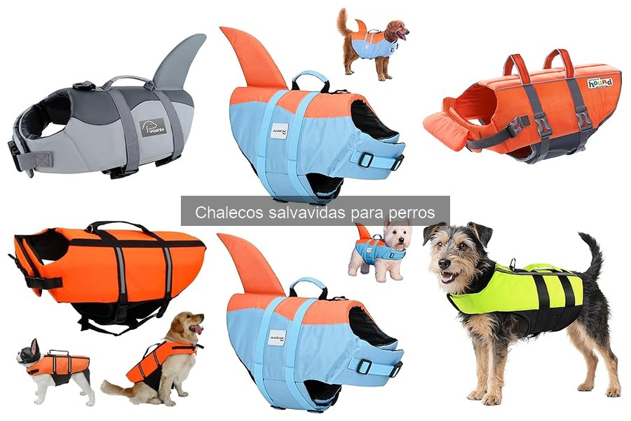 Mejores chalecos salvavidas para perros por tamaño y raza