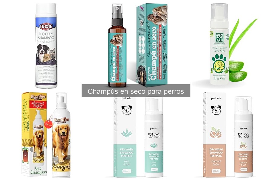 Mejores champús en seco para perros según situaciones específicas