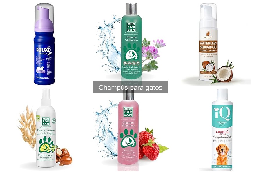 Mejores champús para gatos con piel sensible en 2023