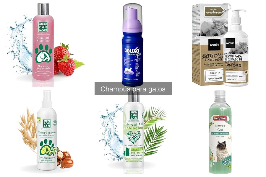 Mejores champús para gatos: tipos y recomendaciones