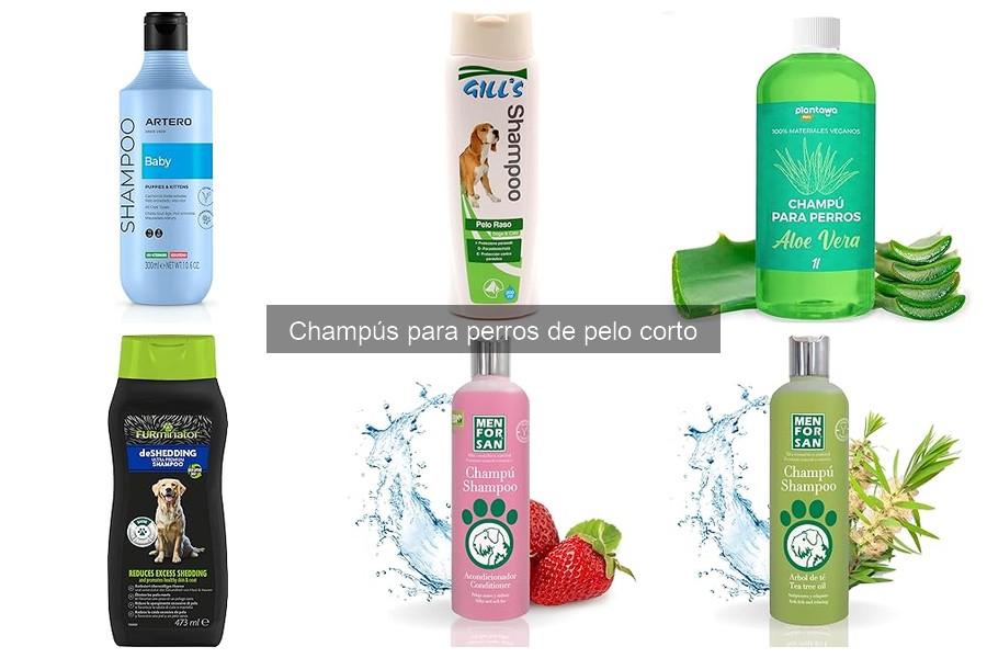 Mejores champús para perros de pelo corto en 2023