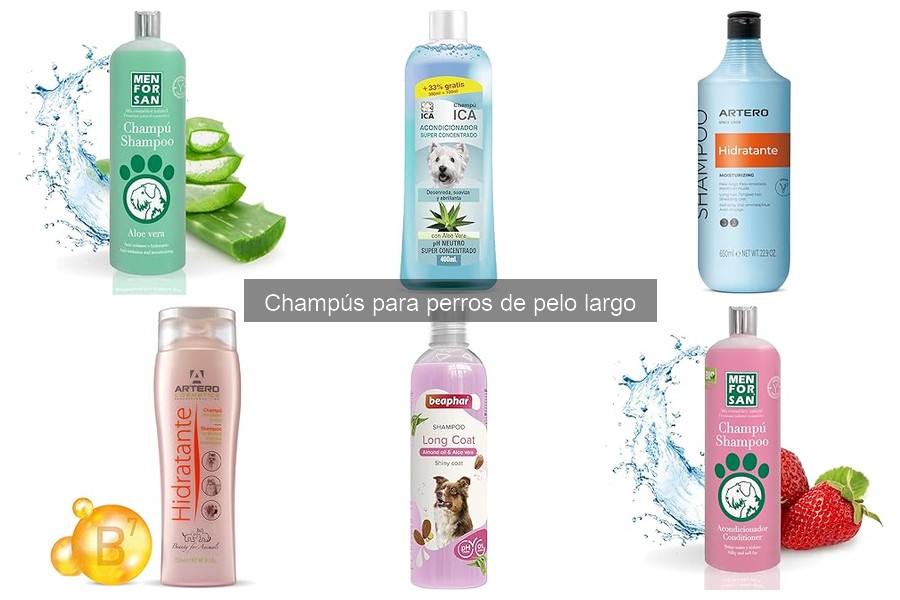** Mejores champús para perros de pelo largo: ¡Cuida su pelaje!