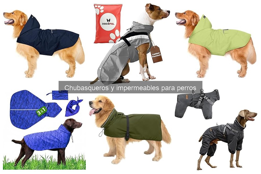 Mejores chubasqueros para perros grandes: guía y recomendaciones