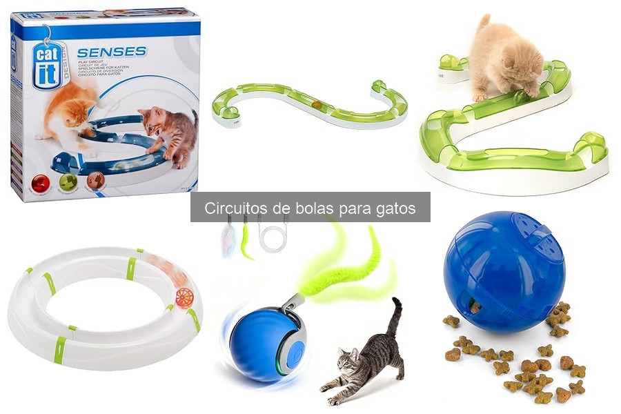 Mejores circuitos de bolas para gatos: comparativa 2023