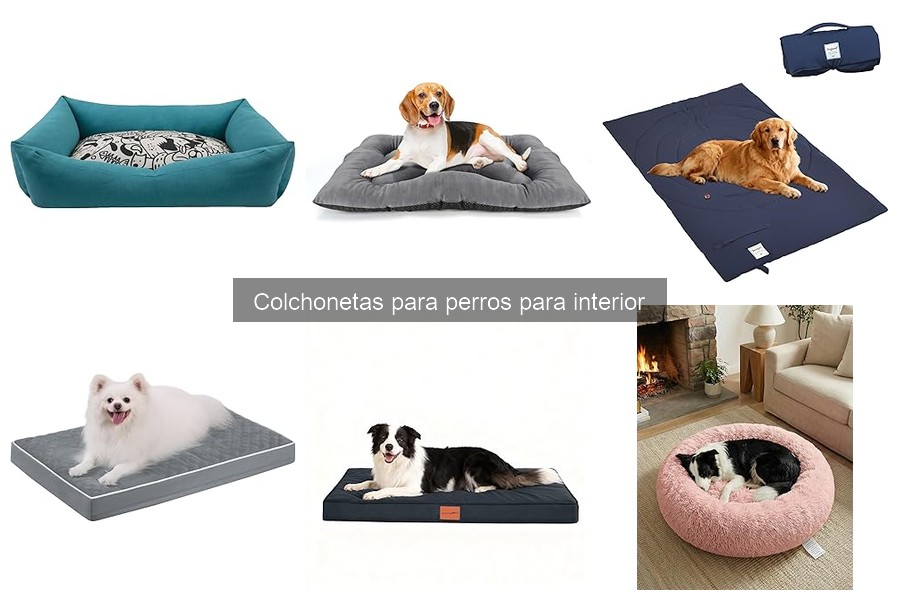 Mejores colchonetas para perros según tamaño y raza