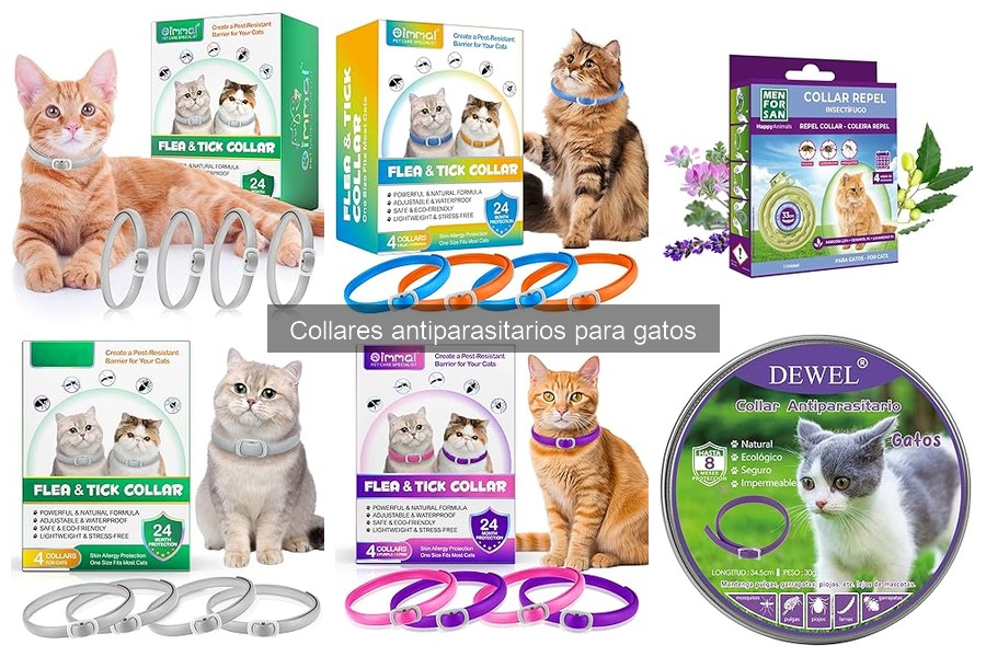 Mejores collares antiparasitarios para gatos en 2023