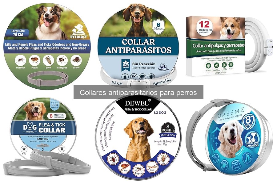 Mejores collares antiparasitarios para perros en 2023
