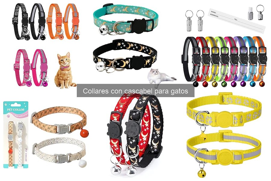 Mejores collares con cascabel para gatos: marcas destacadas