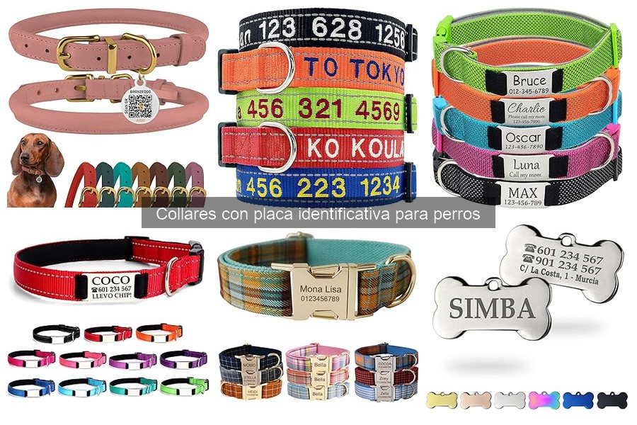 Mejores collares con placa identificativa para perros pequeños