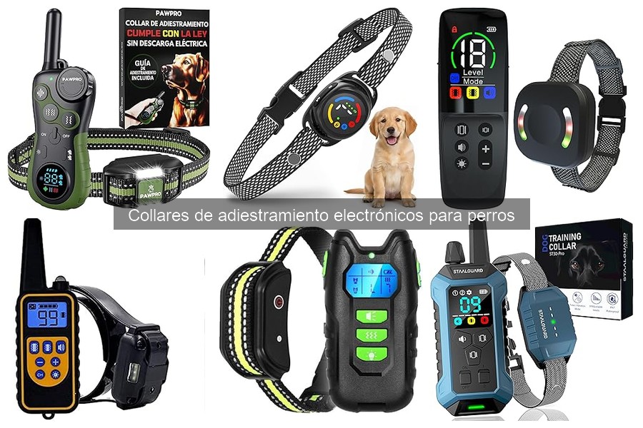 Mejores collares de adiestramiento para perros grandes