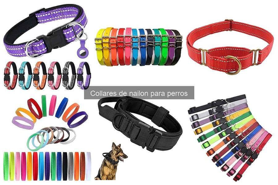 Mejores collares de nailon para perros pequeños en 2023