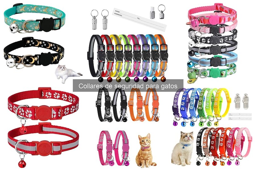 Mejores collares de seguridad para gatos: opiniones y características