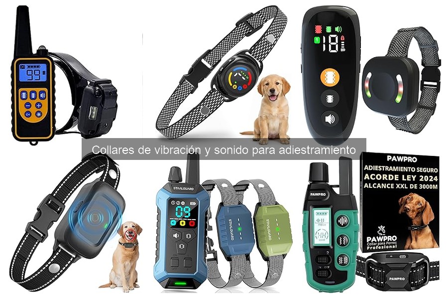 Mejores collares de vibración y sonido para perros nerviosos