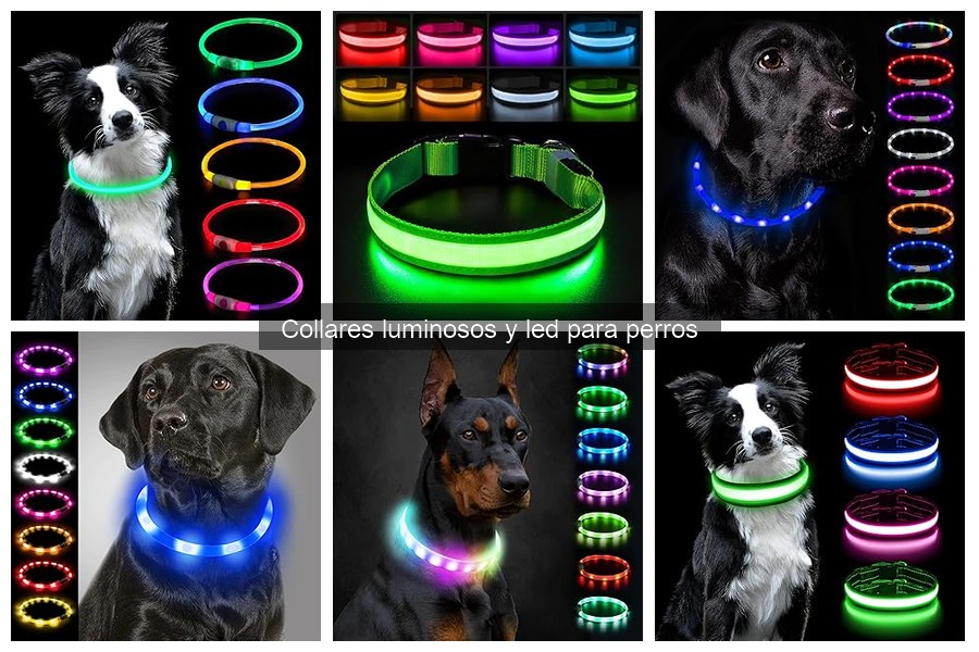 Mejores collares luminosos para perros según su tamaño