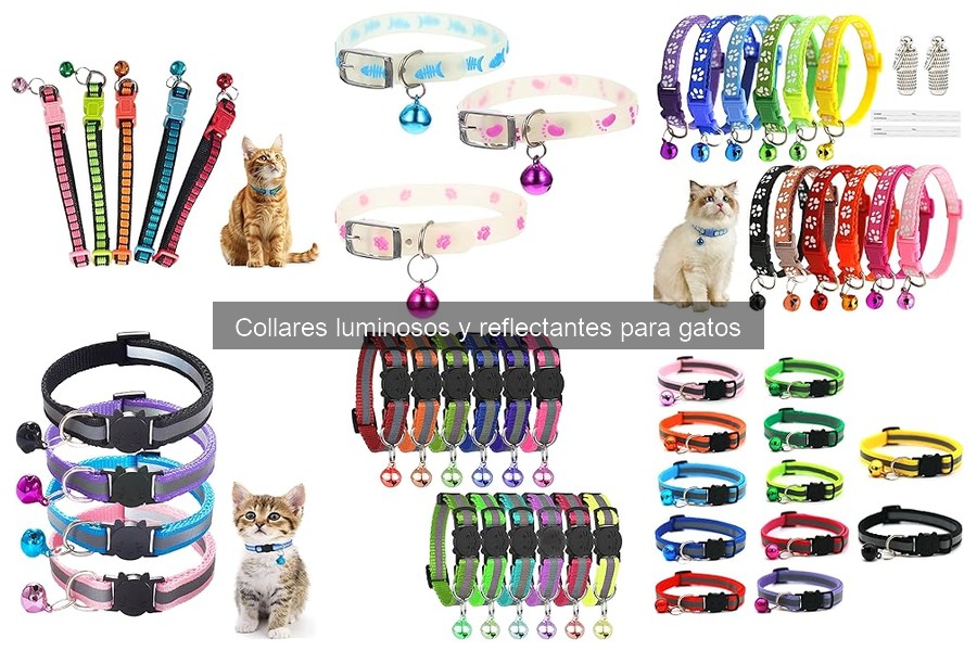 Mejores collares luminosos y reflectantes para gatos 2023